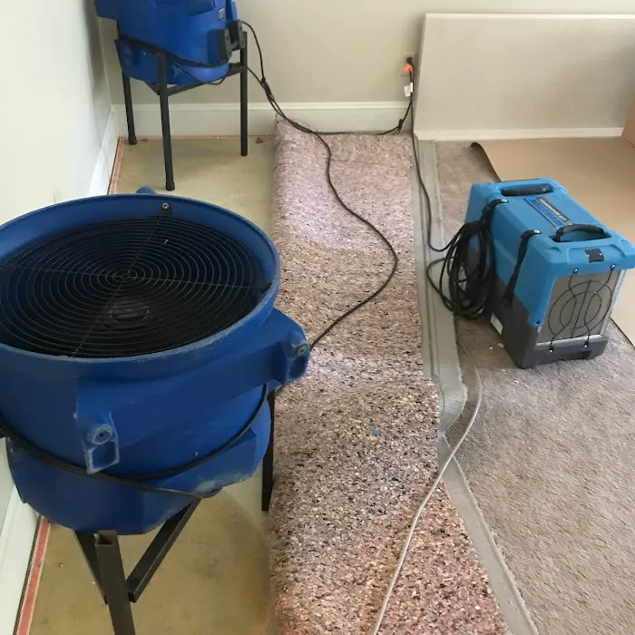 Speedy Response Picture 6