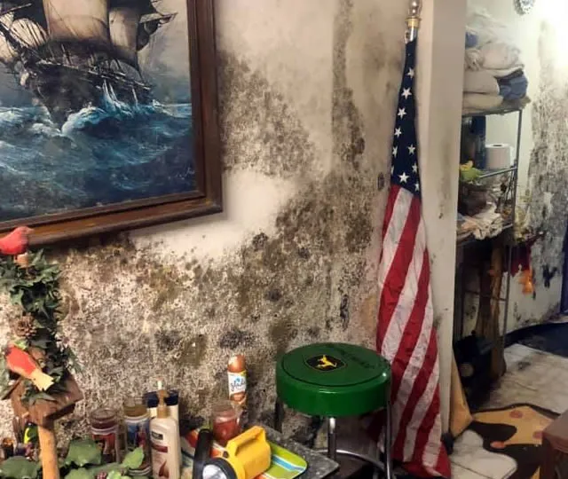 A-1 Cleaning & Restoration LLC Picture 7