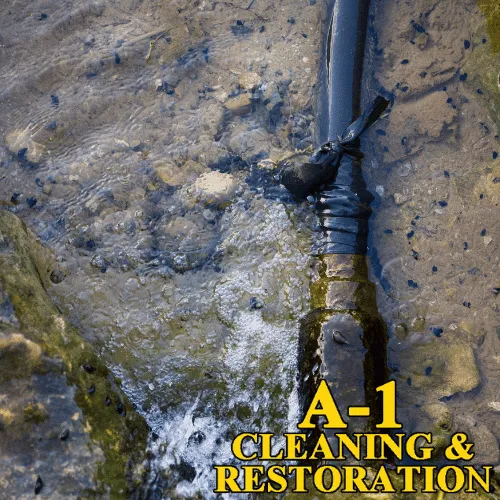 A-1 Cleaning & Restoration LLC Picture 10