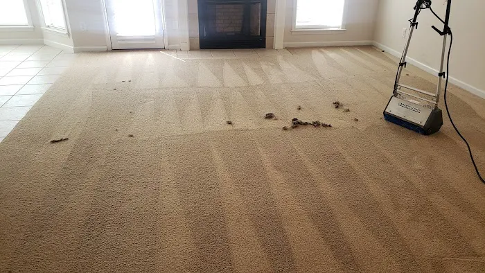 Maid Valet Restoration Picture 6