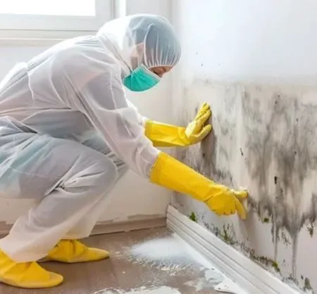 WATER ADVISOR LLC Picture 8