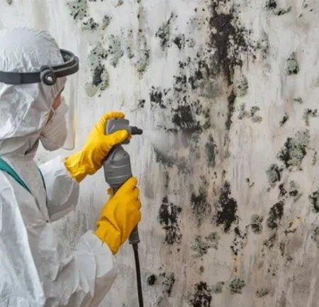 WATER ADVISOR LLC Picture 5