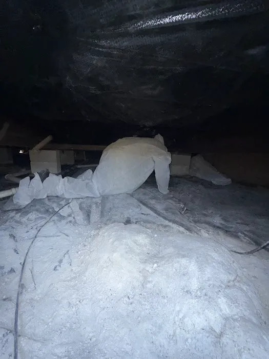 ServiceMaster Professional Services Tallahassee Picture 8