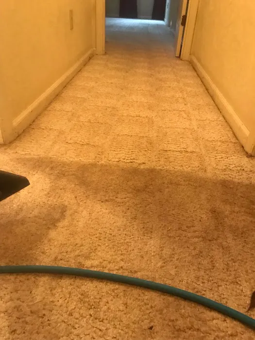 Total Floor Care Cleaning, Maintenance, & Restoration Picture 6