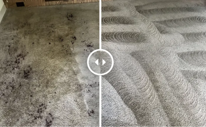 Main Cleaning Solutions Picture 2