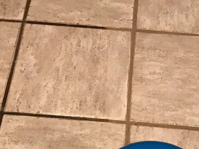 Main Cleaning Solutions Picture 9