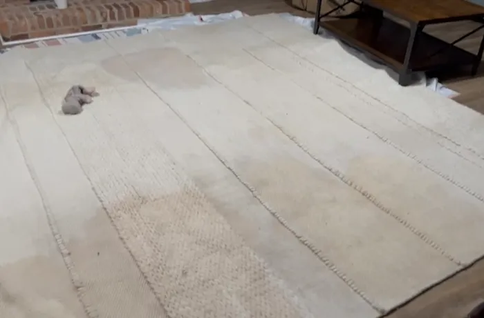 Stanley Steemer Picture 9