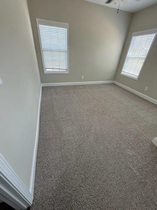 Stanley Steemer Picture 5