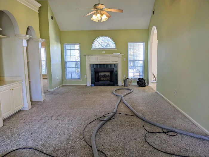 Stanley Steemer Picture 4