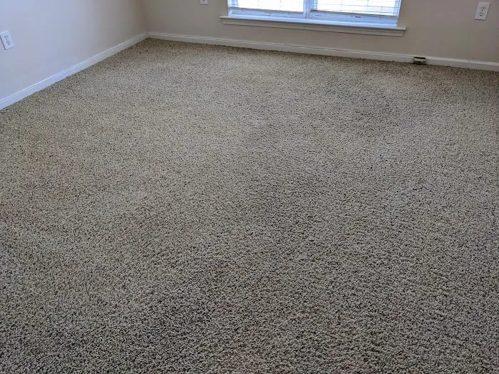 Stanley Steemer Picture 8