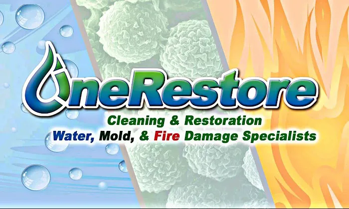 OneRestore Picture 1
