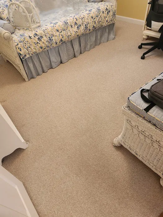 Stanley Steemer Picture 10