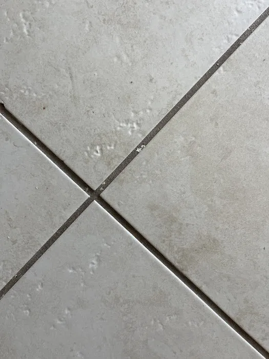 Stanley Steemer Picture 3