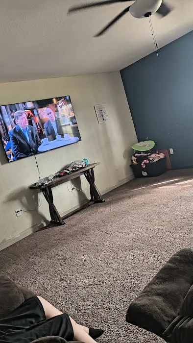 Stanley Steemer Picture 1