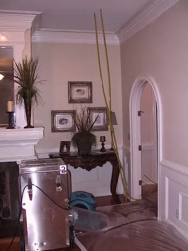 Bishop Clean Care, Valdosta Picture 1