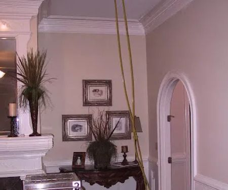 Bishop Clean Care, Valdosta