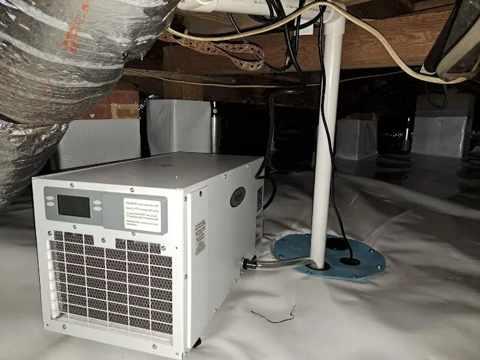 Alpha Foundations Picture 8