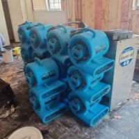 The Big Three Corporation ico