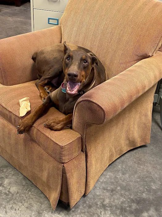 Duraclean Solutions Picture 5