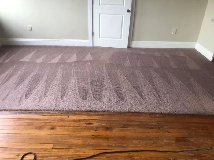 Duraclean Solutions Picture 2