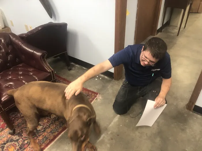 Duraclean Solutions Picture 6