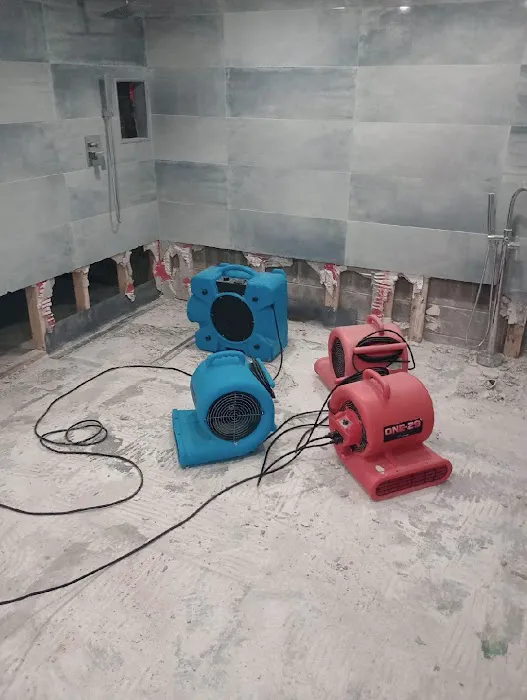 3E Entity, Inc Picture 10