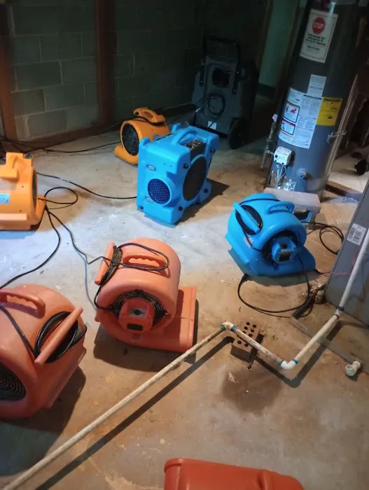 3E Entity, Inc Picture 4