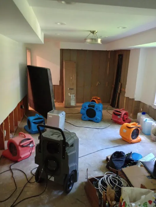 3E Entity, Inc Picture 3