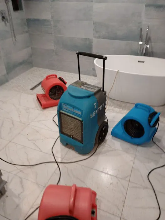 3E Entity, Inc Picture 7