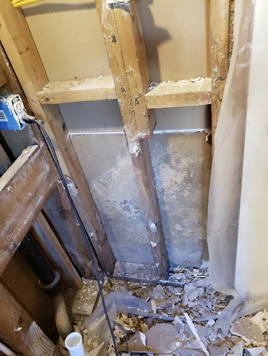 3E Entity, Inc Picture 8