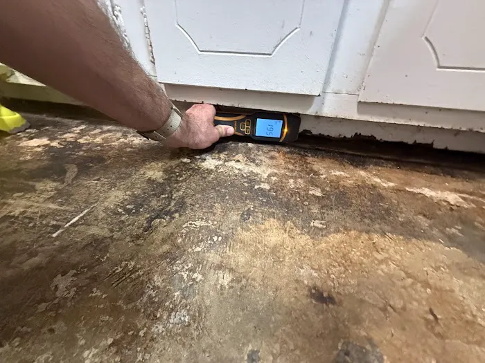 RestoPros of Central Georgia Picture 1