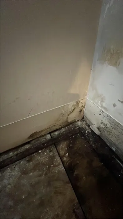 RestoPros of Central Georgia Picture 2