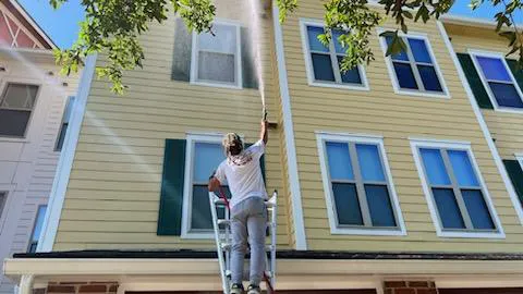 Bowden's Carpet Cleaning Picture 8