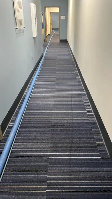 Bowden's Carpet Cleaning Picture 4