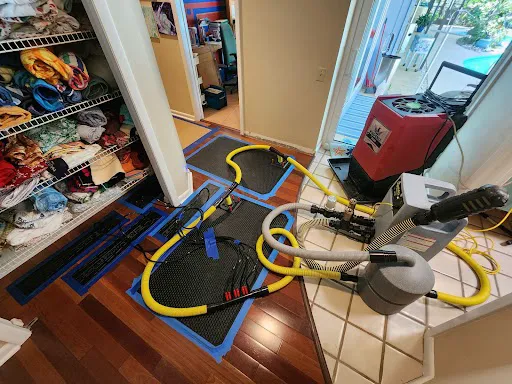 Dreyer's DKI Picture 3