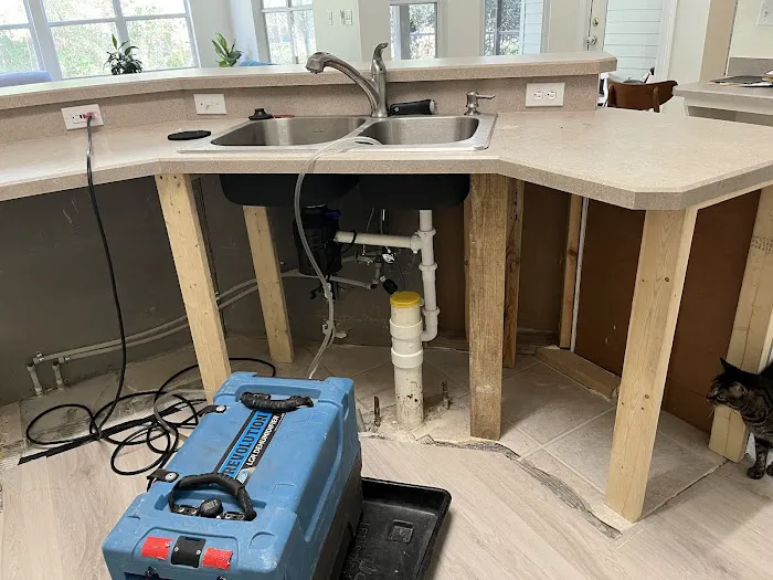 Dreyer's DKI Picture 4