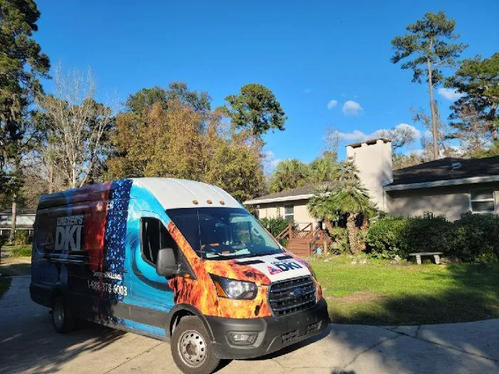 Dreyer's DKI Picture 4