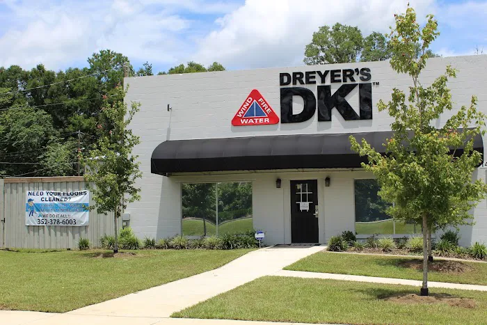 Dreyer's DKI Picture 8