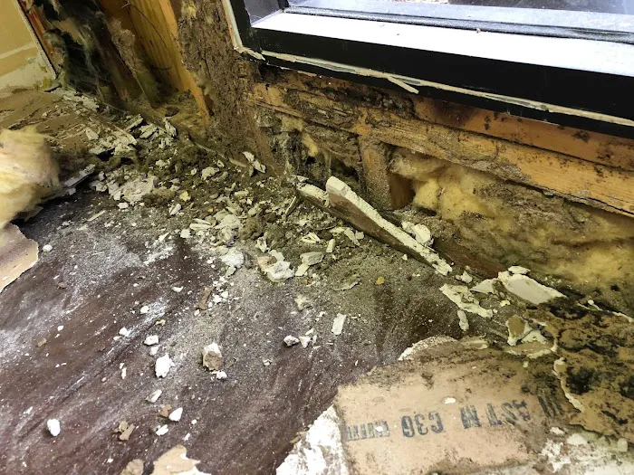 Anderson Restoration & Emergency Services Picture 6