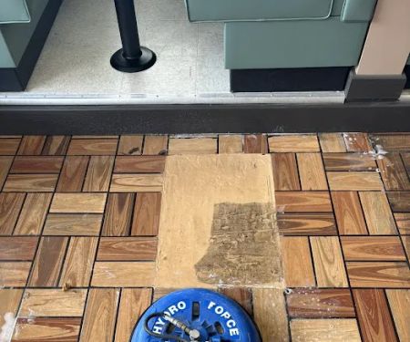 Gator Carpet Cleaning and Water Restoration