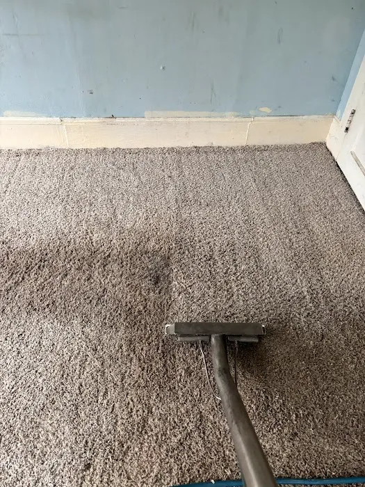 Gator Carpet Cleaning and Water Restoration Picture 7