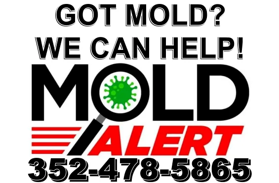Mold Alert - Mold Inspections and Testing Picture 1