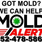 Mold Alert - Mold Inspections and Testing