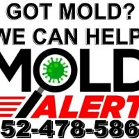 Mold Alert - Mold Inspections and Testing ico