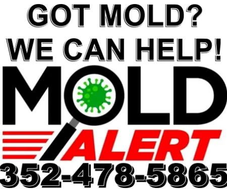 Mold Alert - Mold Inspections and Testing