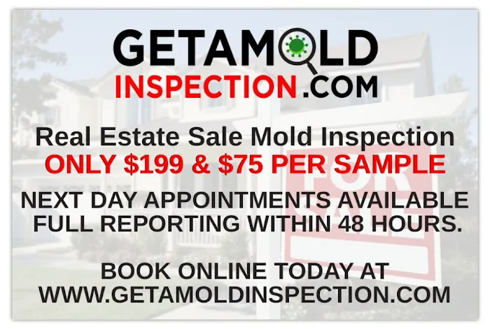 Mold Alert - Mold Inspections and Testing Picture 2
