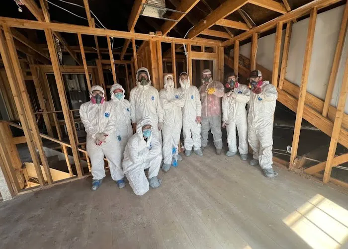 Florida Mold Control Picture 3