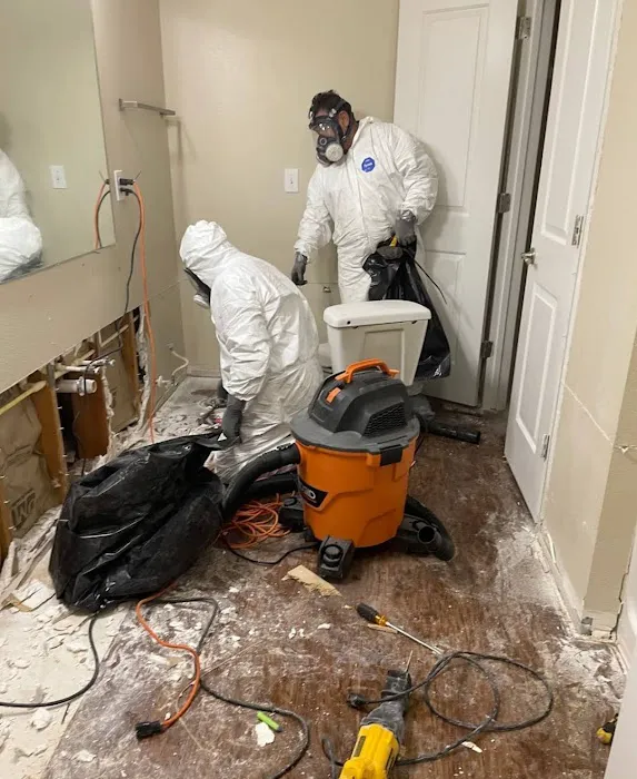 Florida Mold Control Picture 5