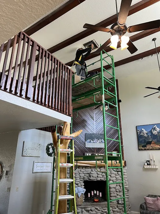 Florida Mold Control Picture 6