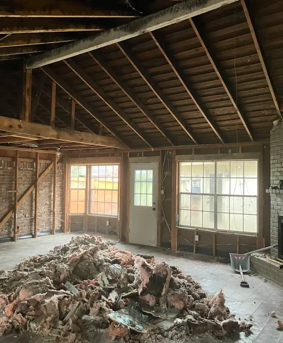 Florida Mold Control Picture 8